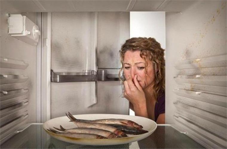 địa chỉ mua tủ lạnh cũ